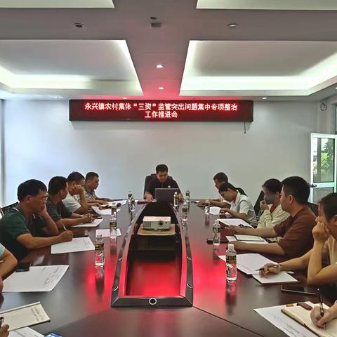 永兴镇召开农村集体"三资"监管突出问题集中专项整治工作推进会