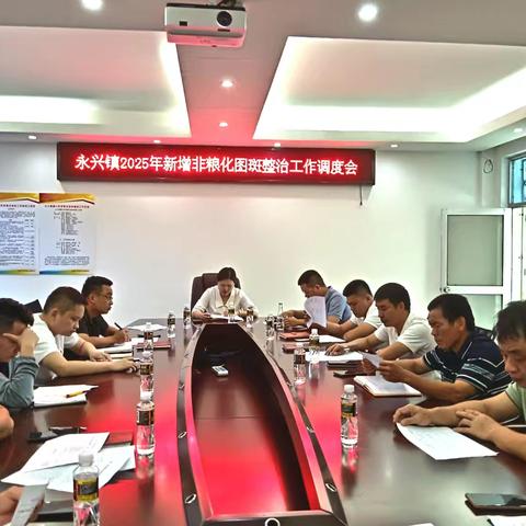永兴镇召开2025年新增非粮化图斑整治工作调度会