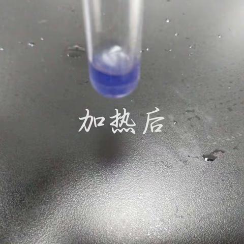 营养和生命化合物的性质