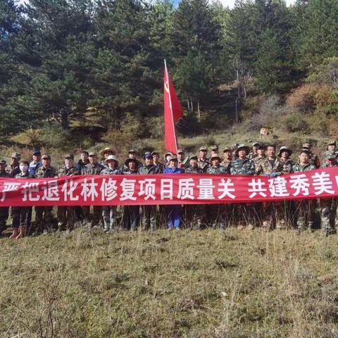 党旗在秦岭西段水源涵养与生物多样性保护恢复项目建设一线飘扬