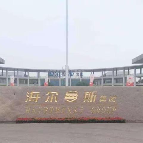 海尔曼斯二月工作汇报