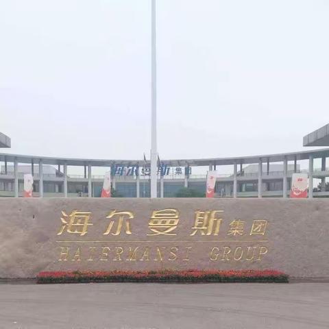 海尔曼斯十二月工作汇报