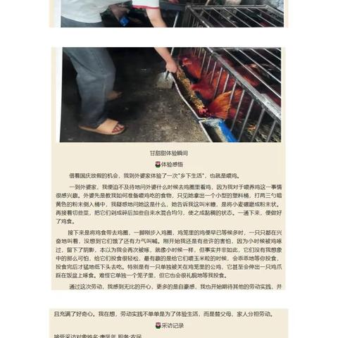 国庆职业体验班级获奖汇总（一等奖）