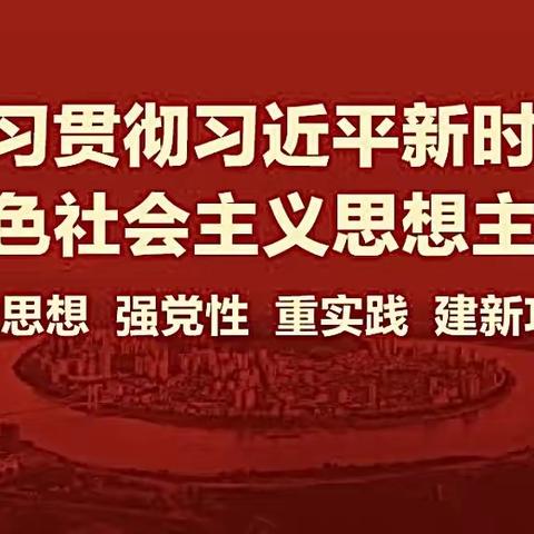 洛宁县融媒体集中学习贯彻习近平新时代中国特色社会主义思想主题教育