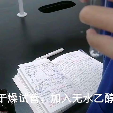 实验五：醇的性质 苯酚的性质反应实验