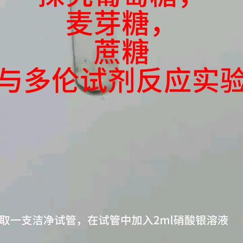 实验六：营养和生命化合物的性质实验