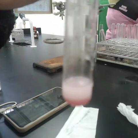 实验六：酚的性质