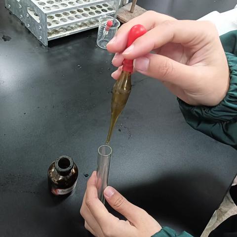 实验七：糖类的性质