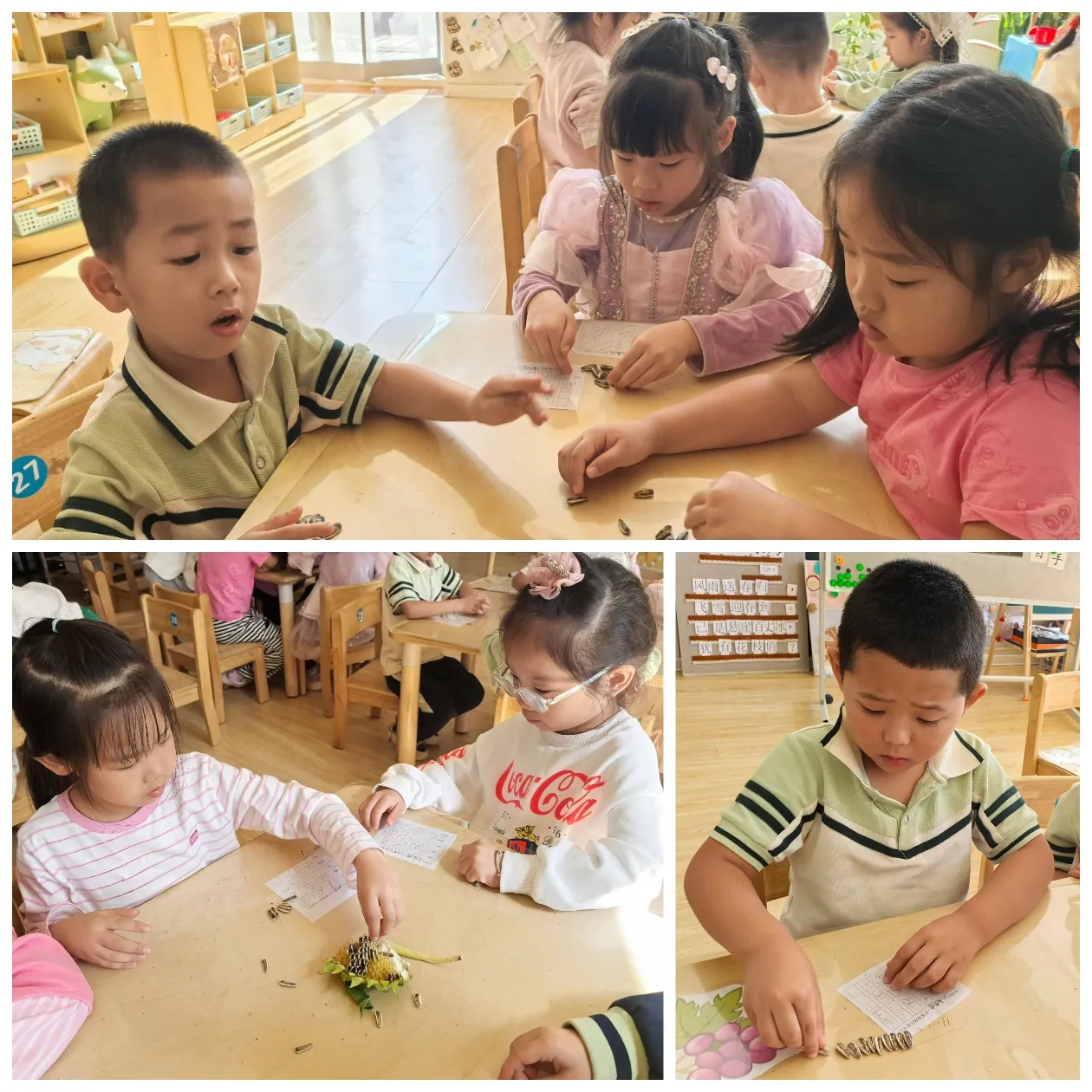 简篇-秋风有信 见证成长——皇姑区教育局第二幼儿园大二班