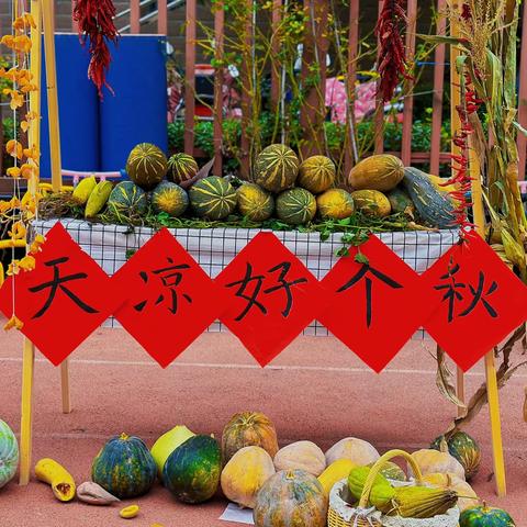 “天凉好个秋”之花生篇🥜