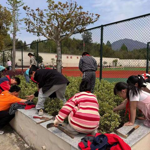 师生齐劳动,除草正当时 ——旌德县白地中心学校开展苗圃除草劳动实践活动