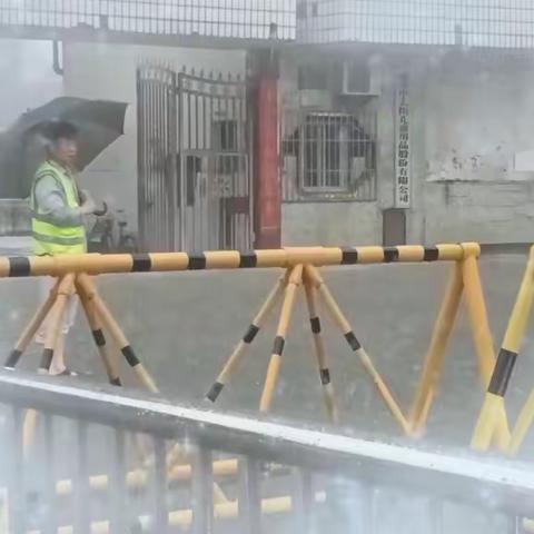 雷暴中，你护航的样子最酷！