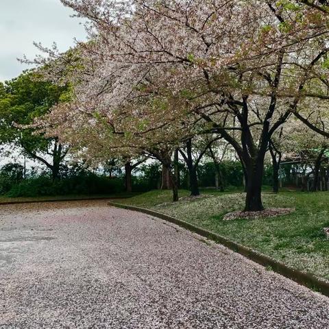 2024.3.28-30浦江神丽峡、江南第一家等三日游