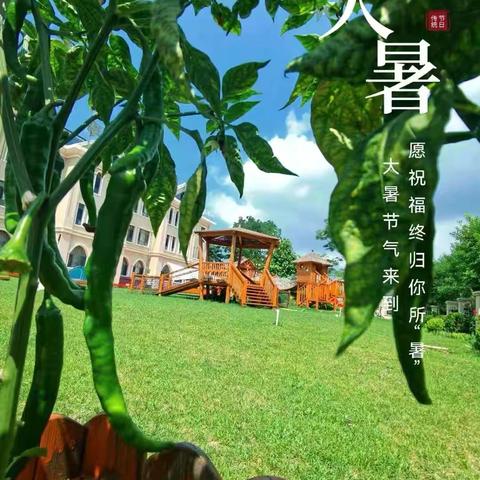 大暑至，夏正浓——富源县第五幼儿园大暑节气