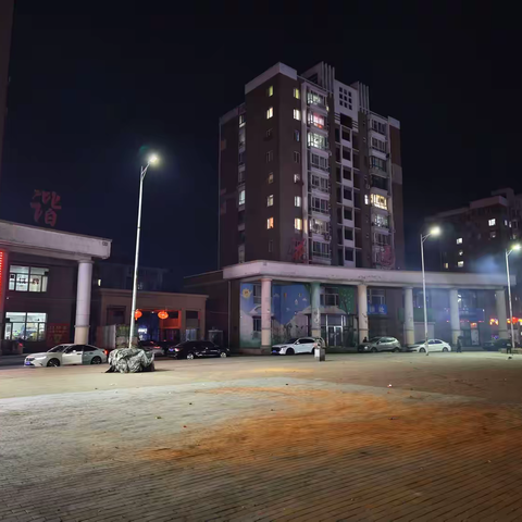 党建聚力 筑梦前行 路灯亮了  民心也亮了
