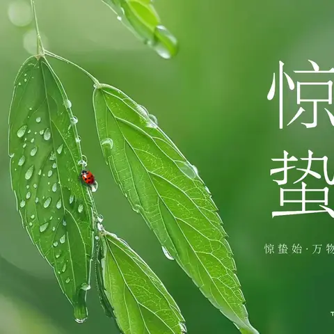 【家庭医生签约服务    节气养生之三】惊蛰