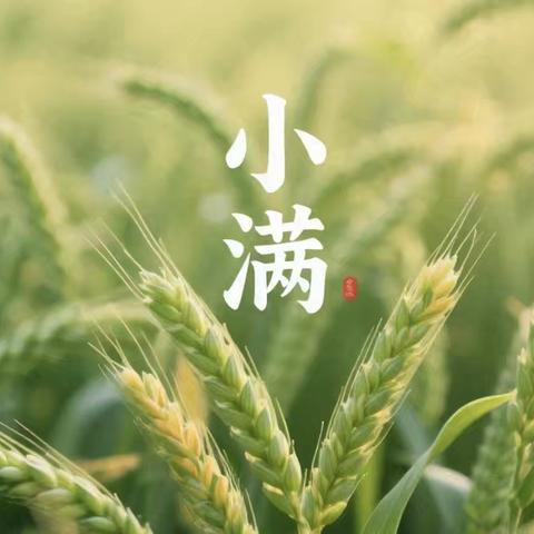 【家庭医生签约服务  节气养生之八】小满