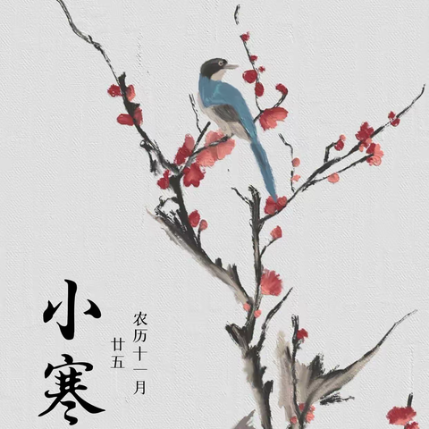 源南乡中心幼儿园【二十四节气】小寒：踏雪寻梅，春日在望