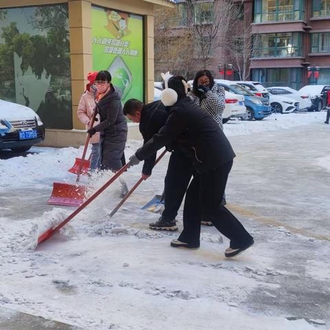 【亮身份 做表率 除积雪  助出行】