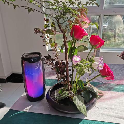 心随云动的简篇
