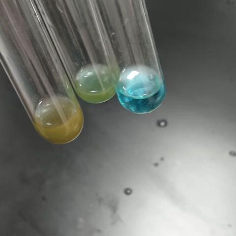 营养和生命化合物的性质