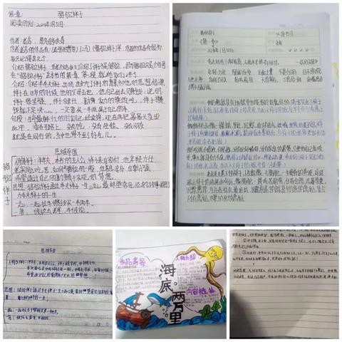 书香暖冬，悦读新春—— 昭苏县第六中学寒假读书分享活动