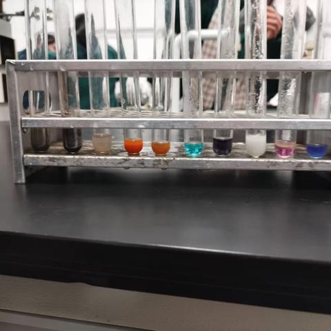 营养和生命化合物的性质