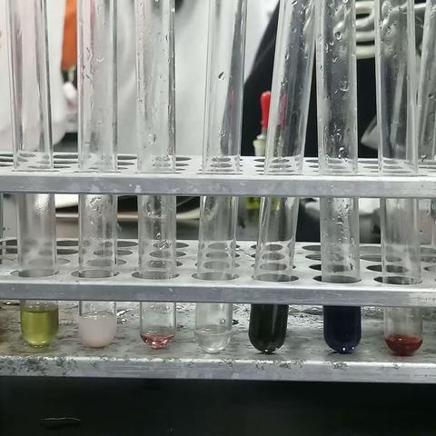 烃的含氧衍生物的性质。
