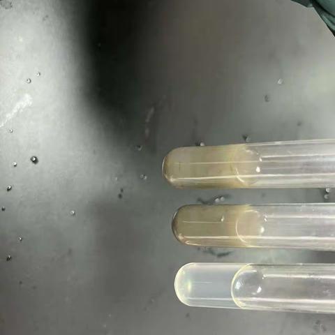 营养和生命化合物的性质