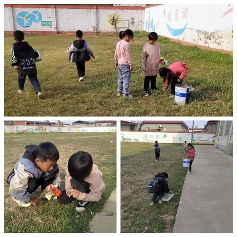 让学生在实践中发展 ——淇县南关中心小学劳动技能的提升