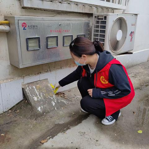 【南关街道育才社区】春季灭鼠正当时，净化环境除“四害”