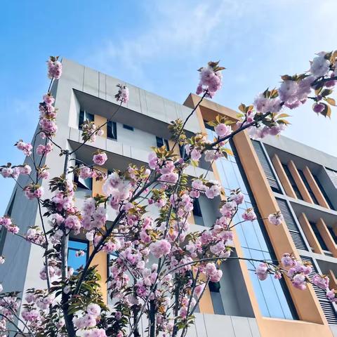 小浪花中队7-8周爱心速递