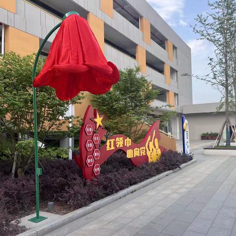 小浪花中队9-10周爱心速递