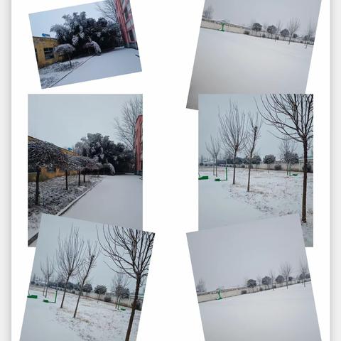 “银装素裹满校园，扫雪护安全”——后张小学雪后纪实