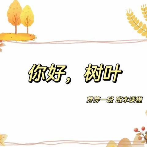 融安县长安镇第二幼儿园 芽芽一班2023年秋季学期班本课程《你好，树叶》