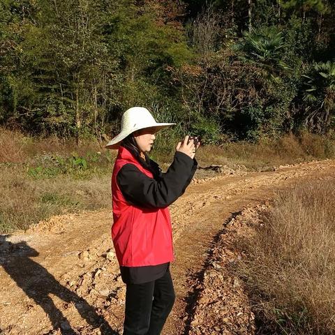 “抓紧撂荒排查 守牢耕地红线”———箭竹村开展撂荒地摸排核查工作