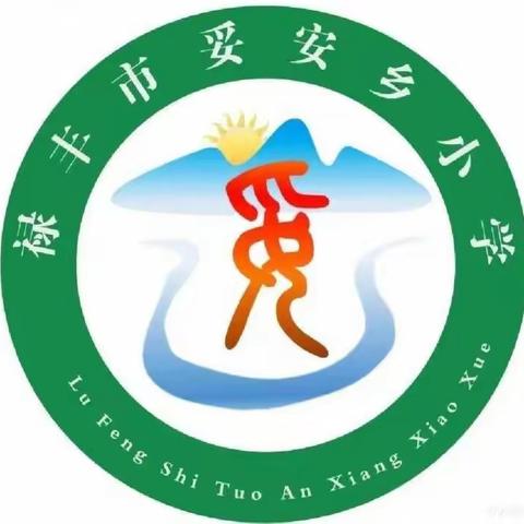 采撷归来  共享芬芳 ——妥安乡罗申小学教师外出学习汇报交流活动