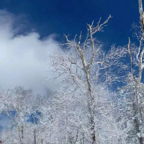 享受冰雪快乐   牢记安全第一                         ——龙南小学冰雪嘉年华活动