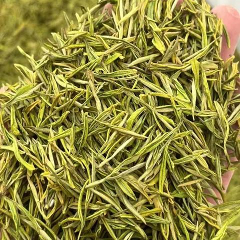 恒耀茶业大量批发：安吉白茶、黄金芽、金骏眉、滇红、龙井、普洱、云南绿茶、银丝，[太阳][太阳]六星班章（生普）、五福冰岛（熟普）