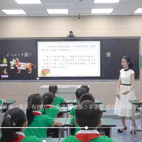 《在牛肚子里旅行》教学反思