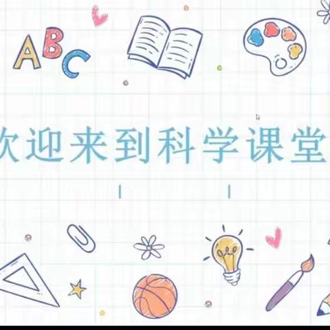 探究延思    发展科学思维——记长安路小学科学教研组集体备课活动