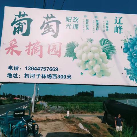 辽峰有机葡萄采摘自主科技园——记新型职业农民张立学