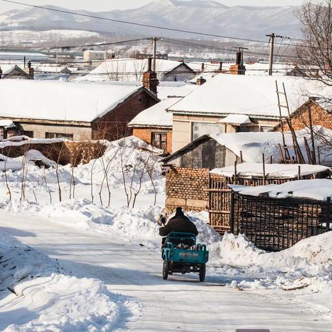 以雪为令齐上阵  扫雪除冰暖人心