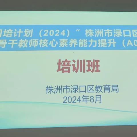 砥砺深耕 勤学思悟 ——株洲市渌口区2024年小学数学骨干教师核心素养能力提升研修（二）