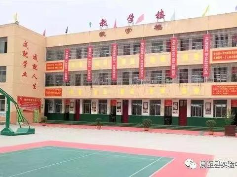 不负韶华研更进，听评互学教为先----双成学校数学教研组新任教师听评课纪实