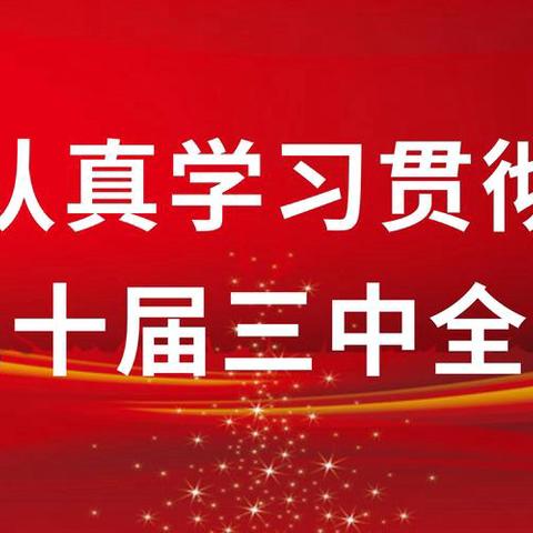 【悟精神 促发展】沈阳分行组织全行干部党员开展学习党的二十届三中全会精神培训