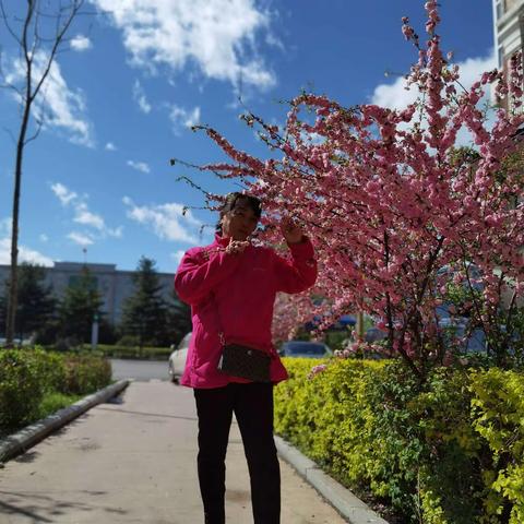 母亲节的起源和意义