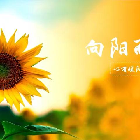 湖南安福物业-株山国际项目部 6月物业工作简报