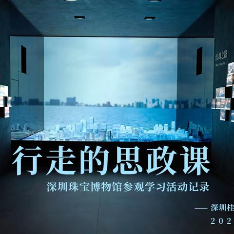 行走的思政课 --深圳珠宝博物馆参观学习活动记录 桂园中学2022级17班