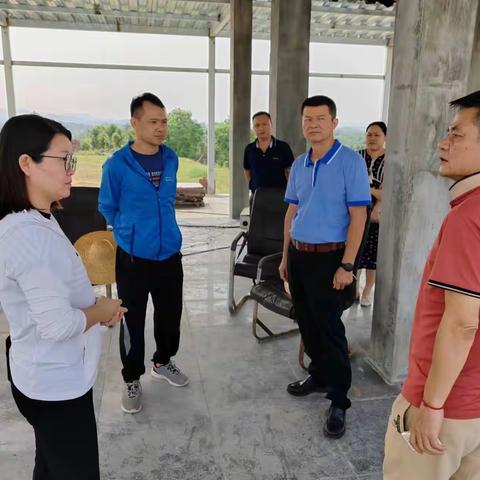 县人大常委会副主任钟钢在坡心镇调研